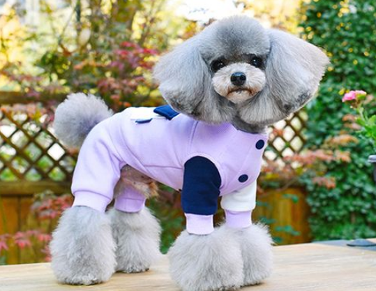 一阅心田,一个用心做宠物衣服的品牌 一阅心田,一个用心做宠物衣服的品牌