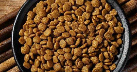 摩森狗粮怎么样？