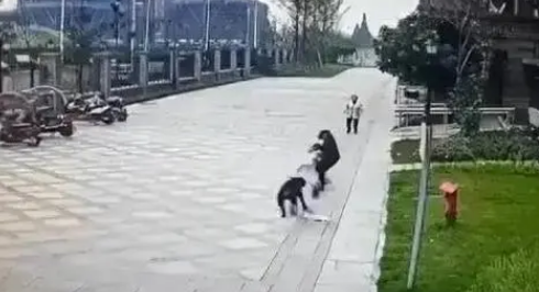 狗主人被采取刑事措施！