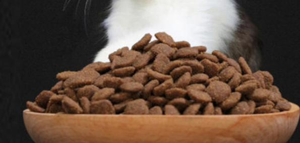 皇姿猫粮:满足猫咪全方位营养需求的佳品 皇姿猫粮:满足猫咪全方位营养需求的佳品