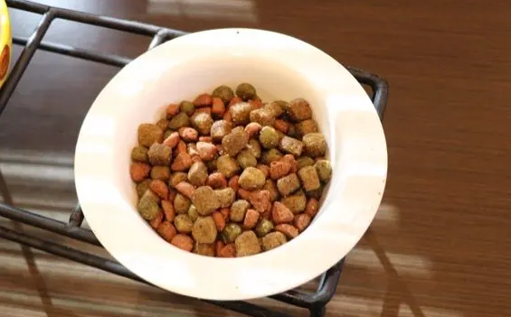 正大生物猫粮好不好