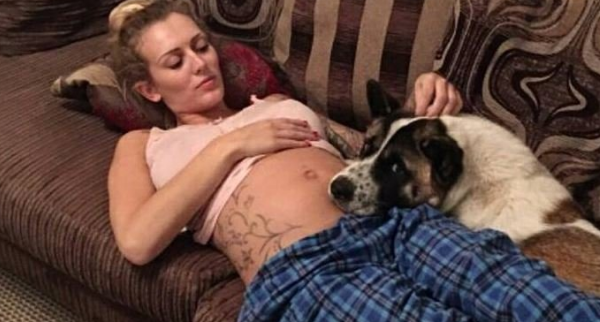 狗狗预知危险，总对女主怀孕的肚子吠叫，成功救了母子俩的命！