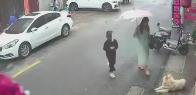 摸狗被咬：女子算是万幸，狗主当接受罚款，而不是赔偿女子医药费