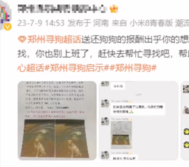爱犬走丢宠主奖励一千万寻狗，找到后却只给5千