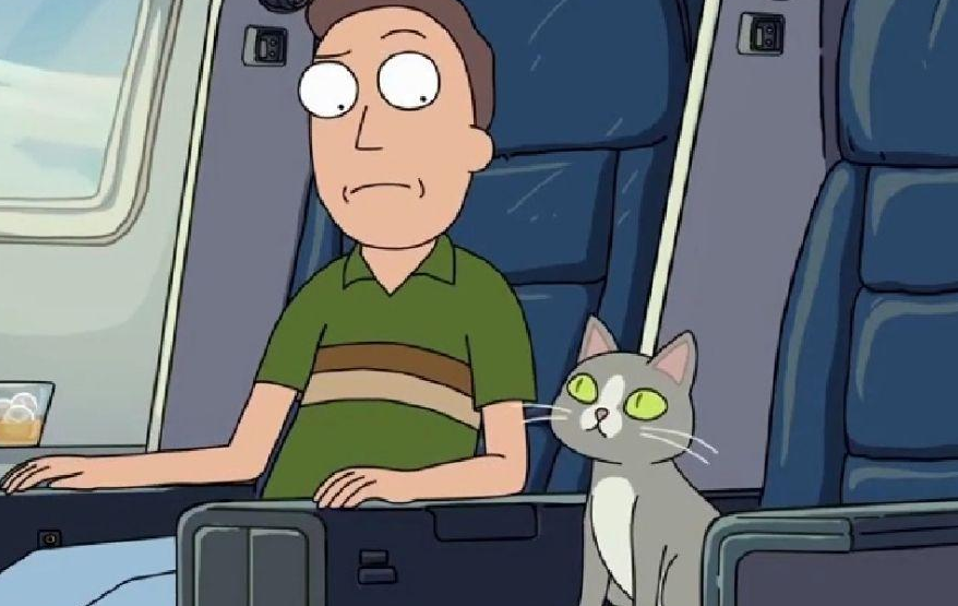 瑞克和莫蒂第四季第四集猫的记忆 瑞克和莫蒂第四季第四集猫的记忆