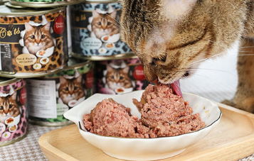 ocanis猫罐头怎么样?猫咪爱吃的理想主食! ocanis猫罐头怎么样?猫咪爱吃的理想主食!