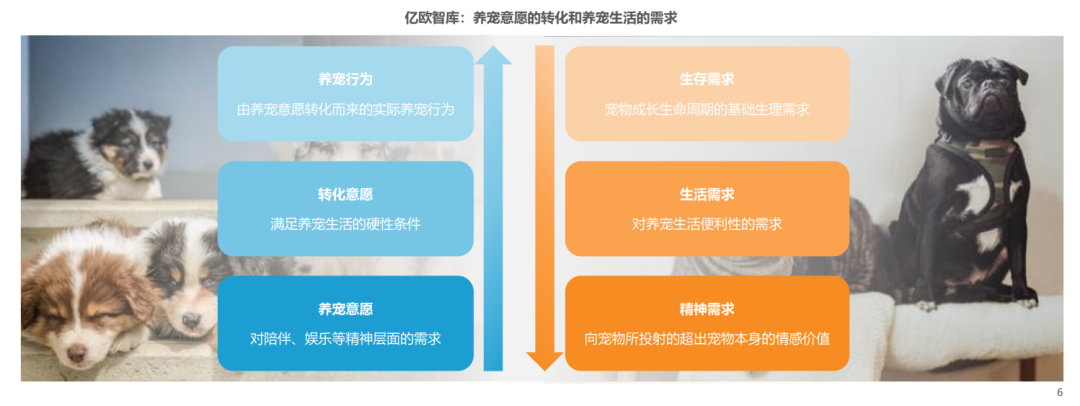 宠物行业的底层逻辑 宠物行业的底层逻辑