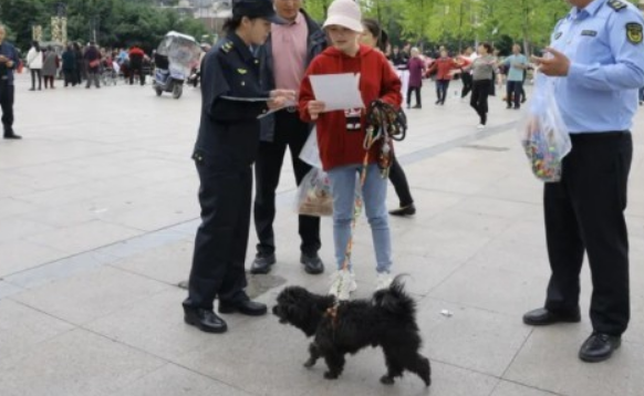 全国多地免费发放牵狗绳，引导市民文明遛狗
