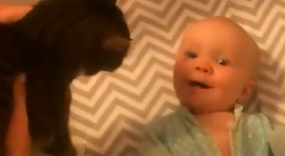 猫咪和小宝宝的第一次会面太萌了!这是在培养第二代铲屎官吗? 猫咪和小宝宝的第一次会面太萌了!这是在培养第二代铲屎官吗?