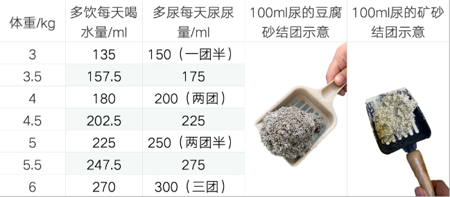 小猫咪喝水多、尿尿多，是生病了吗？我好担心啊！