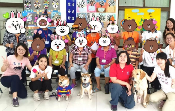 柴犬第一次参加治疗犬考试不及格，复读半年后…终于成功了！