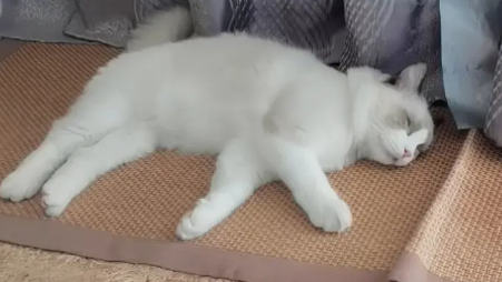 脚抖手抖是有什么病