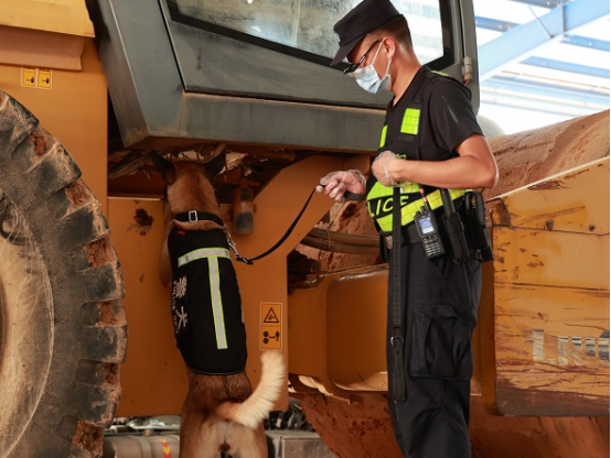 云南保山:警犬“鹰空”获评功勋犬 云南保山:警犬“鹰空”获评功勋犬