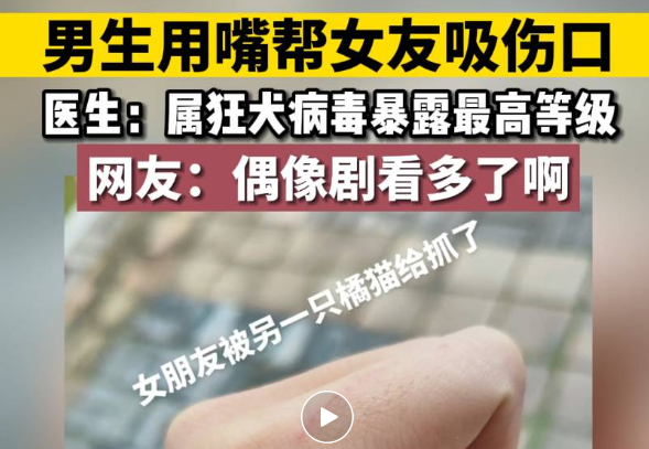 流浪猫抓伤女友，小伙用嘴清理伤口，不料悲剧了……