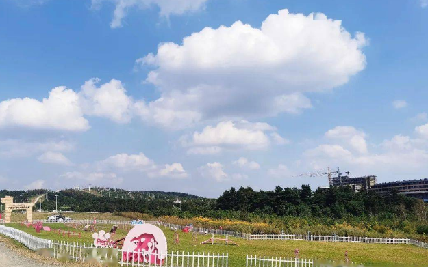 长春新增一宠物公园！目前免费开放……