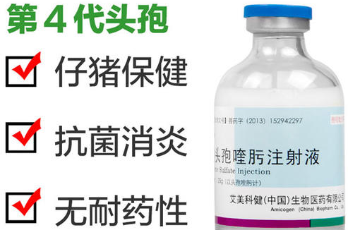 兽药头孢喹肟的用量与用法