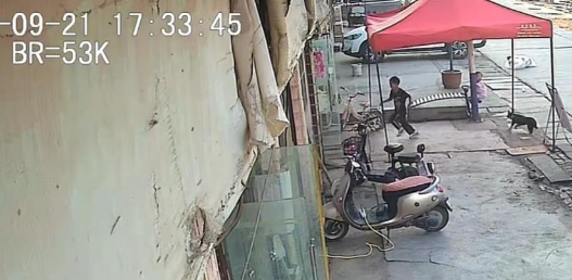 河南安阳黑狗猛扑咬伤路边女童，不知狗的来源，已咬伤多人