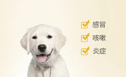泰炎消宠物药:宠物健康的新保障 泰炎消宠物药:宠物健康的新保障