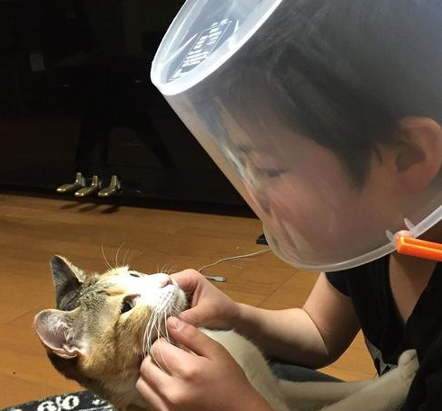 小主人撸猫被抓,但他并没有放弃,而是戴上装备继续撸 小主人撸猫被抓,但他并没有放弃,而是戴上装备继续撸