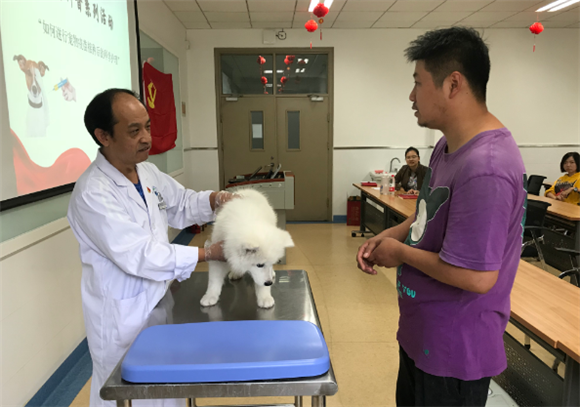 成人自考兽医专业学校