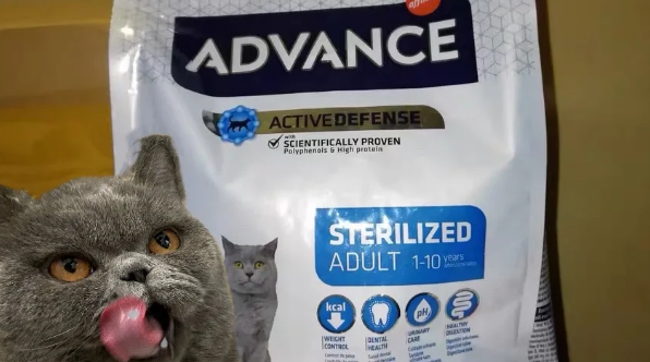 爱旺斯绝育成猫粮:猫咪绝育的首选猫粮 爱旺斯绝育成猫粮:猫咪绝育的首选猫粮