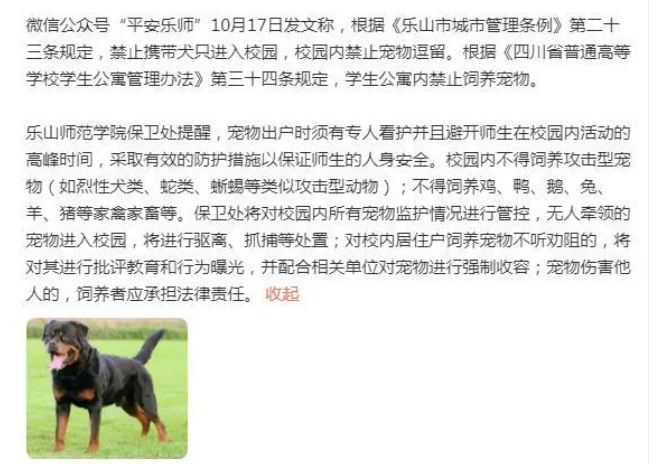 多地加强养犬管理:河南一地要求区域内无大型犬烈性犬无主犬 多地加强养犬管理:河南一地要求区域内无大型犬烈性犬无主犬