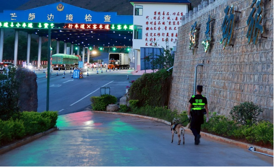 云南保山：警犬“鹰空”获评功勋犬