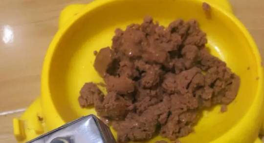 呢咔猫罐头喂食注意事项：健康喂养，让猫咪更健康