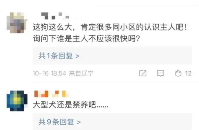 2岁女童遭烈犬撕咬致肾挫裂伤，狗和主人必须尽快绳之以法！