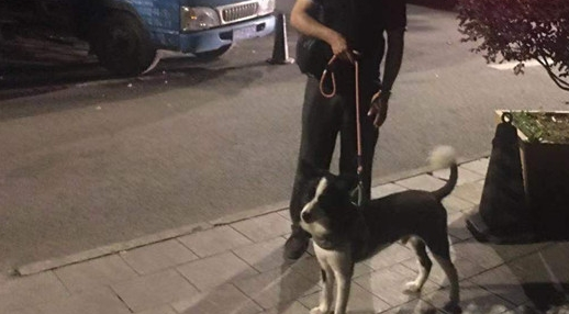 触目惊心!2岁女童小区内遭烈犬撕咬,狗和主人必须绳之以法! 触目惊心!2岁女童小区内遭烈犬撕咬,狗和主人必须绳之以法!