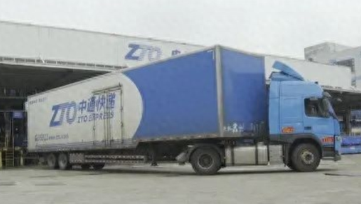 32个宠物盲盒,仅7只狗幸存,还都病着