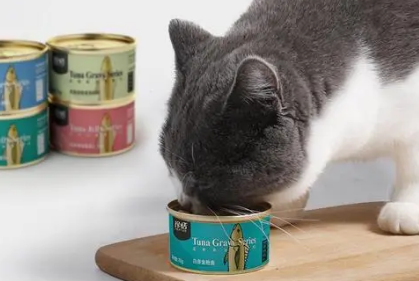 珍恬猫罐头适合给猫吃吗？看看分析！