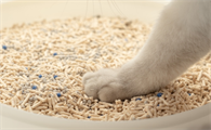 摩贝恩猫砂的4大优势，你们都清楚吗？