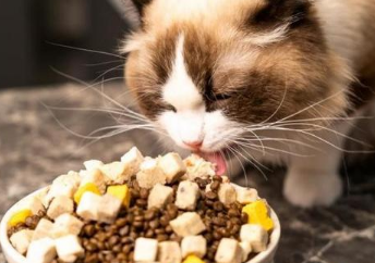 博特菲力猫粮是幼猫粮吗 博特菲力猫粮是幼猫粮吗