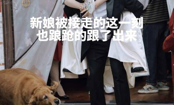 四川一女子出嫁，狗狗也跟上车，怎么拽都不下来，网友：带上它吧