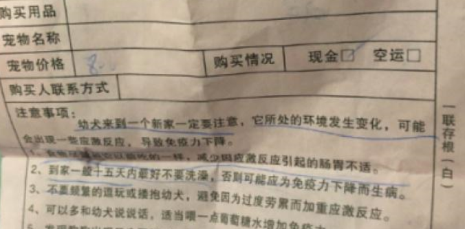 扎心!1500元买了只“星期狗” 宠物店:只换不退 扎心!1500元买了只“星期狗” 宠物店:只换不退