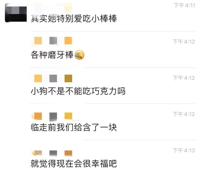 宠物经济新形态:用仿真毛毡、手绘“留住”爱宠,有从业者称订单已排到明年 宠物经济新形态:用仿真毛毡、手绘“留住”爱宠,有从业者称订单已排到明年