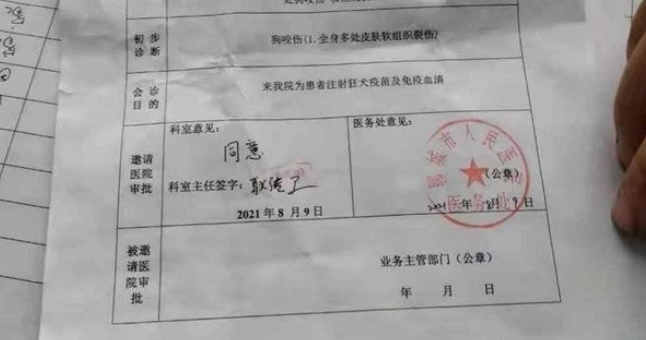 莘县男童被恶狗撕咬事件追踪:一女童两周前也被咬伤