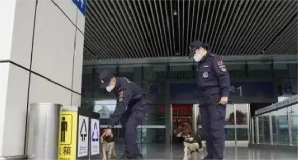 守护路线,缉毒犬带“实习生” 守护路线,缉毒犬带“实习生”
