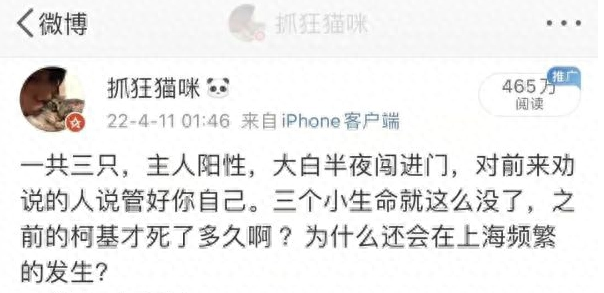 3只宠物犬被无害化处理？主人发声，宠物已得到悉心照护