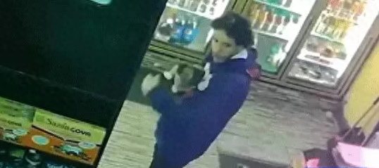 自闭男孩的猫咪好友遭绑架，电视媒体警察都来帮忙抓犯人！