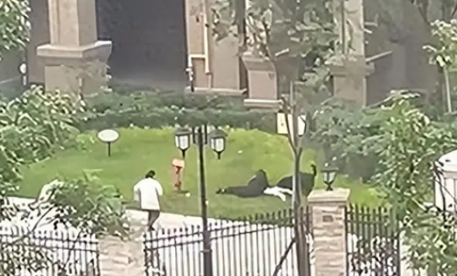 狗咬女童后家长拒绝会见狗主家属,代理律师揭示他们的情感困境! 狗咬女童后家长拒绝会见狗主家属,代理律师揭示他们的情感困境!