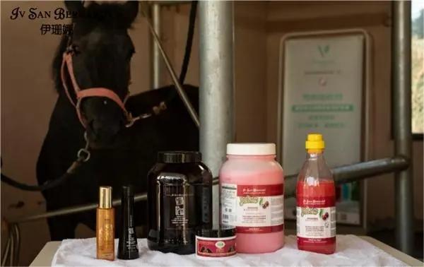 伊珊娜,你想不到的跨界洗护:跳脱犬猫界,给骏马洗澡 伊珊娜,你想不到的跨界洗护:跳脱犬猫界,给骏马洗澡