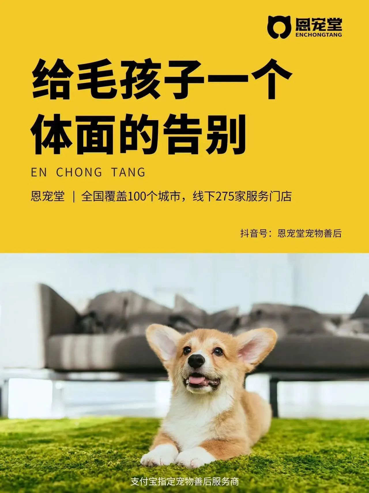 五年开店近300家,获数轮融资,恩宠堂徐桦:不止于生意,如何“重做”宠物殡葬行业? 五年开店近300家,获数轮融资,恩宠堂徐桦:不止于生意,如何“重做”宠物殡葬行业?