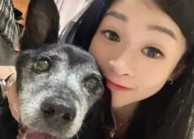 16岁狗狗半夜拖病体看望每位家人，原来…