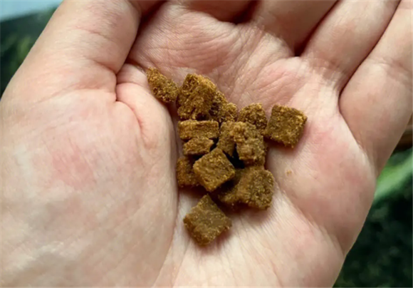 修正猫粮怎么样?送给新晋铲屎官的幼猫猫粮推荐 修正猫粮怎么样?送给新晋铲屎官的幼猫猫粮推荐