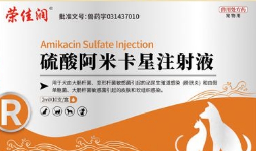 什么病要使用阿米卡星