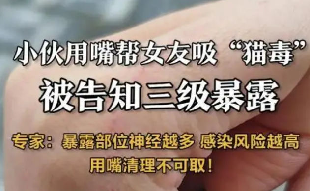 被流浪猫抓伤后,小伙用嘴清理伤口,不料悲剧了…… 被流浪猫抓伤后,小伙用嘴清理伤口,不料悲剧了……