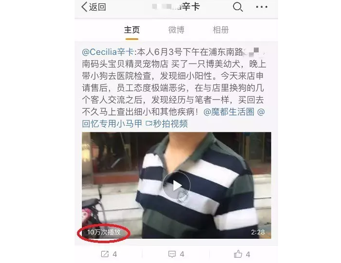 狗狗买回家非病即死，宠物店顶“星期狗”投诉开5年