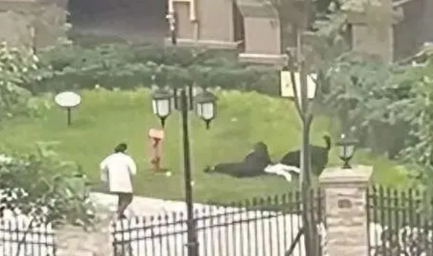 四川宠物协会人士:建议养犬前先考试